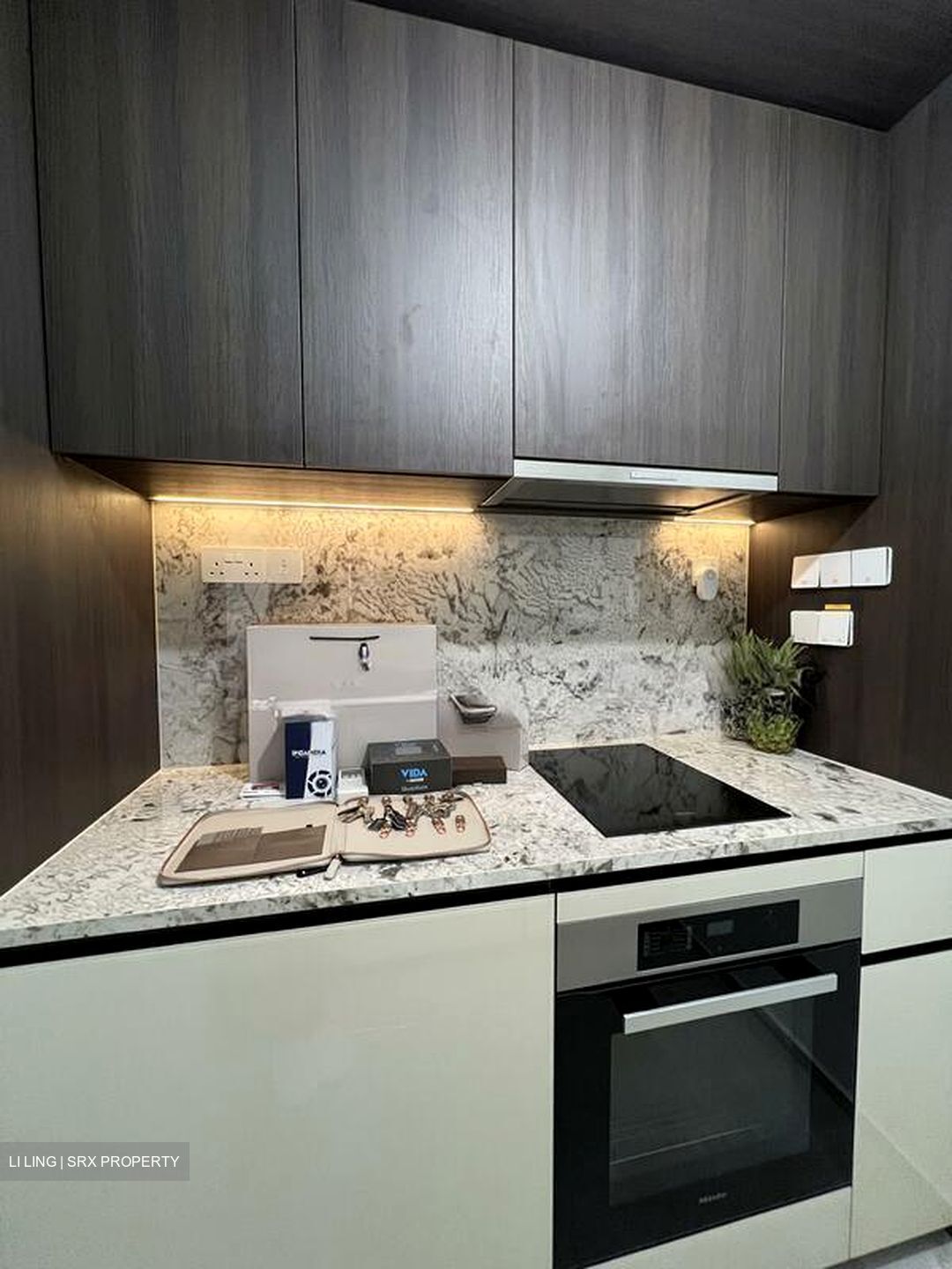 Tembusu Grand (D15), Condominium #520746361
